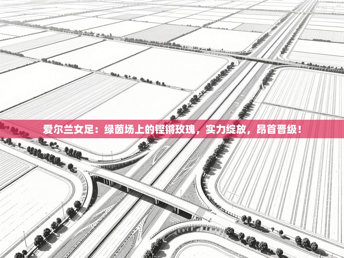 爱尔兰女足：绿茵场上的铿锵玫瑰，实力绽放，昂首晋级！