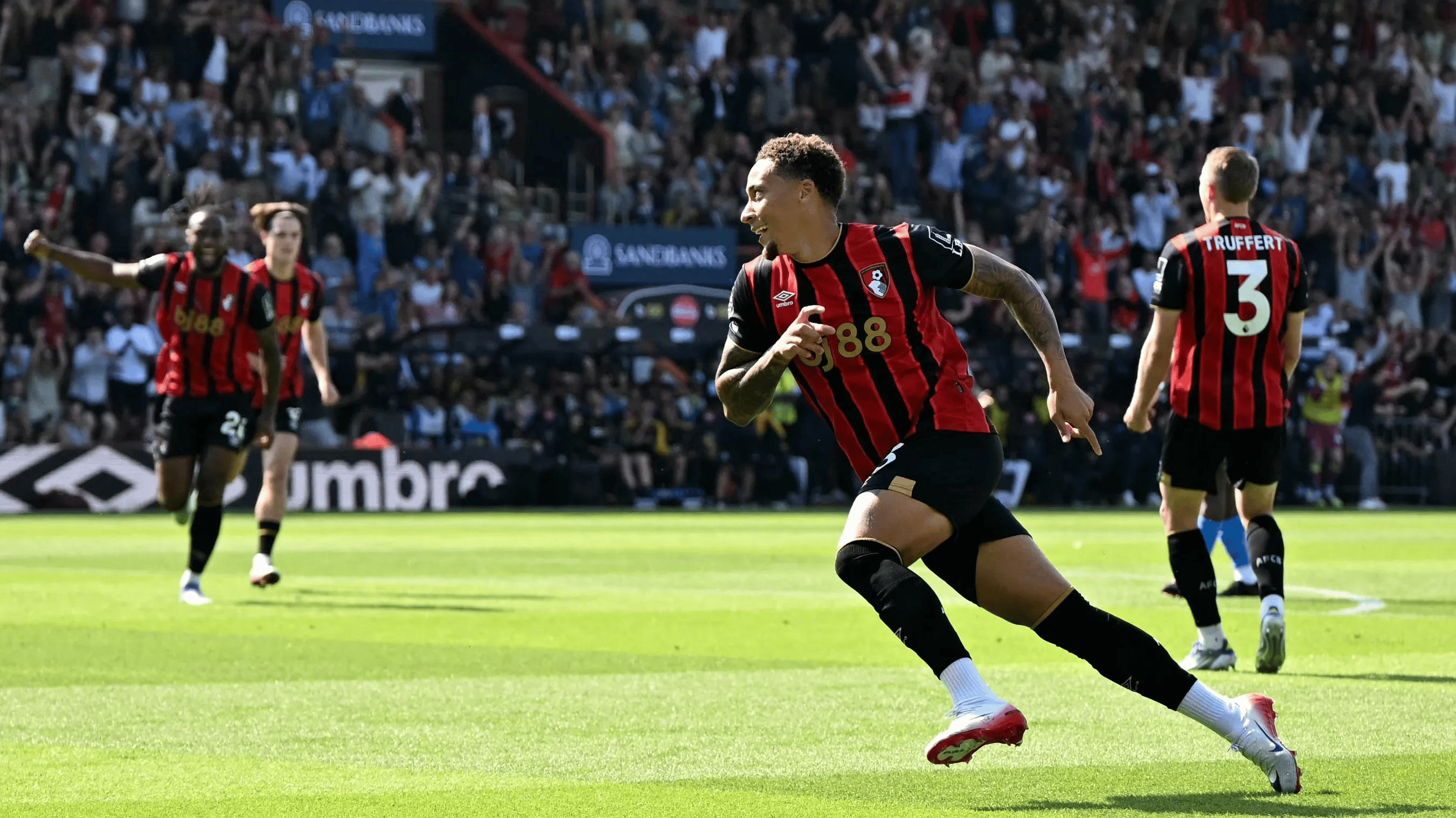 伯恩茅斯主场落败，难掩失落的简单介绍