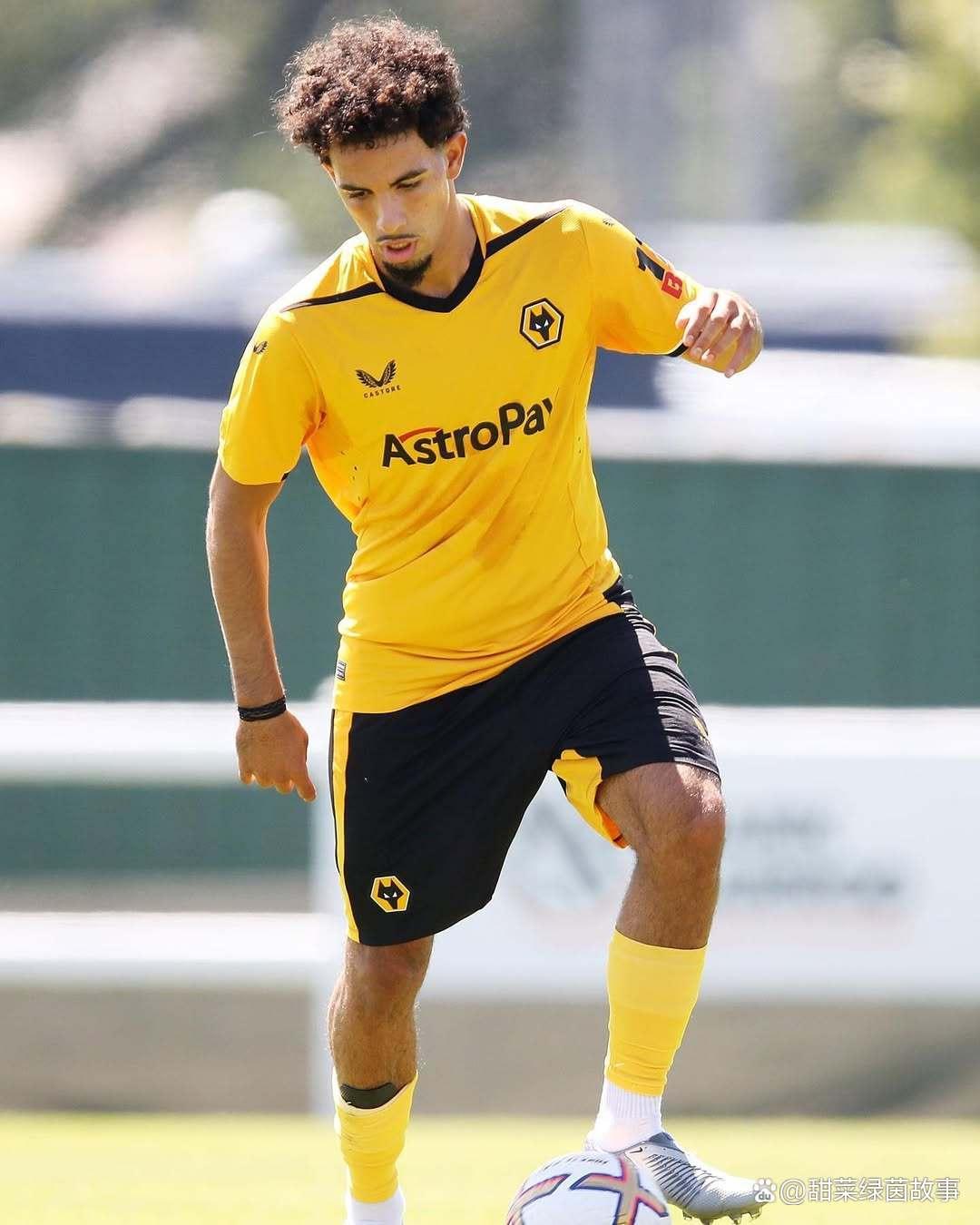 开云体育在线-关于伯恩茅斯客场逼平狼队，表现可圈可点的信息